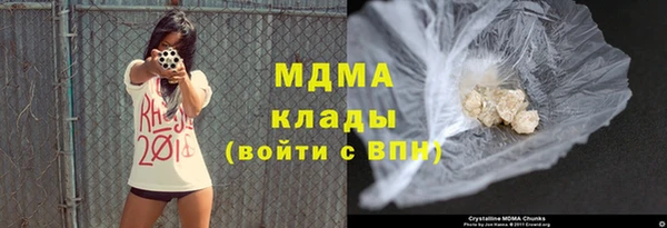 стафф Гусев