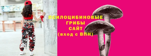 гидропоника Новодвинск