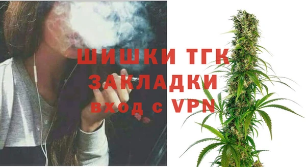 винт Абаза