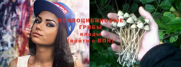 гидропоника Новодвинск
